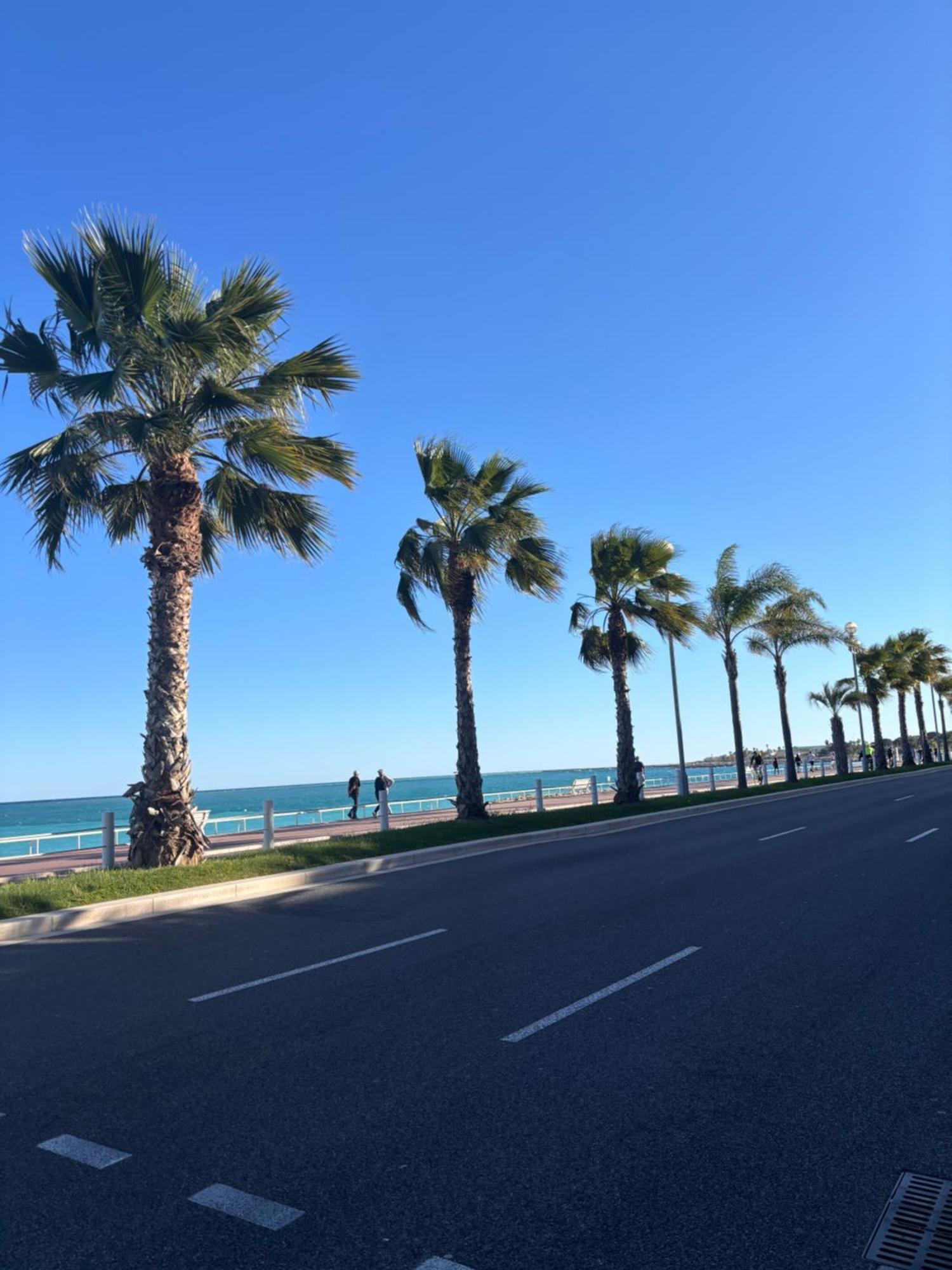Grand Studio De 30 M2 Promenade Des Anglais Nizza Exterior foto